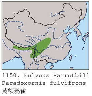 黄额鸦雀的地理分布图