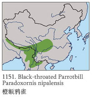 橙额鸦雀的地理分布图