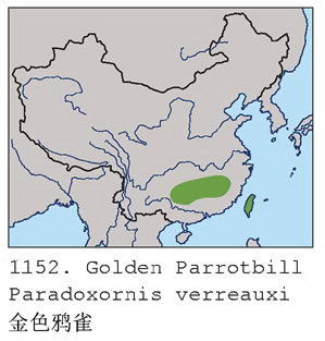 金色鸦雀的地理分布图