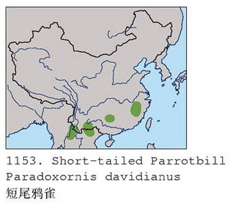 短尾鸦雀的地理分布图
