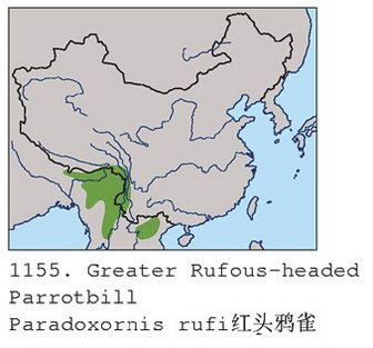 红头鸦雀的地理分布图