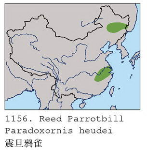 震旦鸦雀的地理分布图