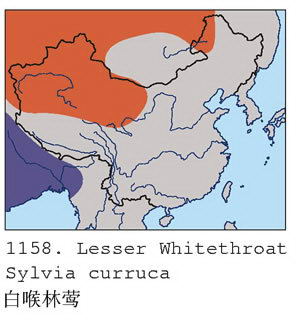 白喉林莺的地理分布图