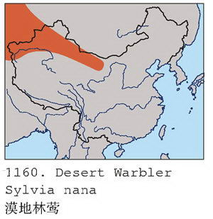 漠地林莺的地理分布图