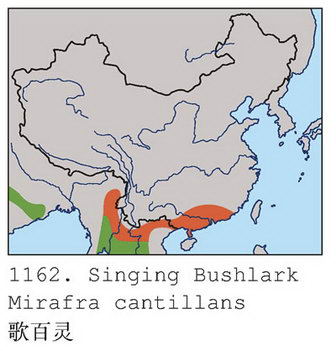 歌百灵的地理分布图