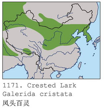 凤头百灵的地理分布图