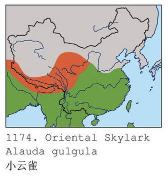 小云雀的地理分布图