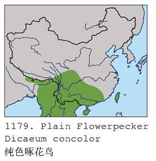 纯色啄花鸟的地理分布图