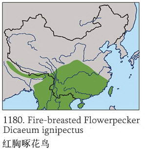 红胸啄花鸟的地理分布图