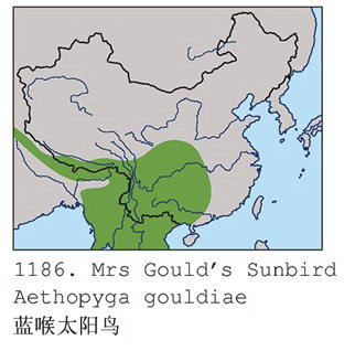 蓝喉太阳鸟的地理分布图