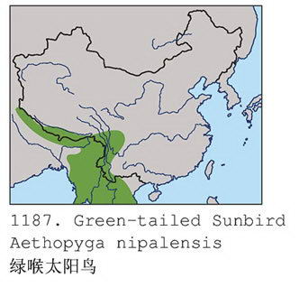 绿喉太阳鸟的地理分布图