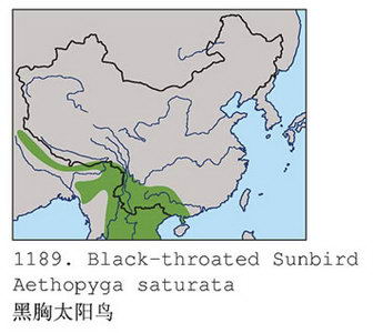 黑胸太阳鸟的地理分布图