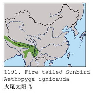 火尾太阳鸟的地理分布图