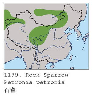 石雀的地理分布图