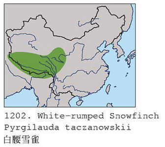 白腰雪雀的地理分布图