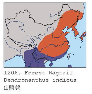 山鹡鸰的地理分布图