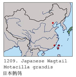 日本鹡鸰的地理分布图