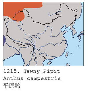 平原鹨的地理分布图