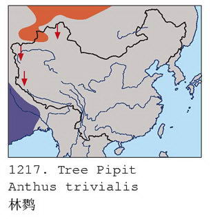 林鹨的地理分布图