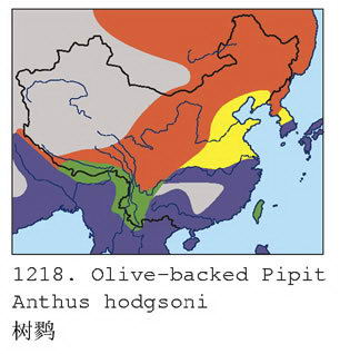 树鹨的地理分布图