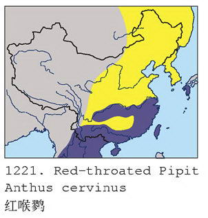 红喉鹨的地理分布图