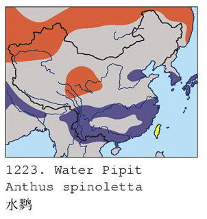 水鹨的地理分布图