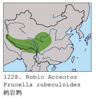 鸲岩鹨的地理分布图