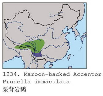 栗背岩鹨的地理分布图