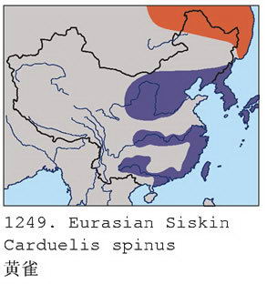 黄雀的地理分布图