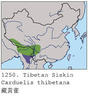 藏黄雀的地理分布图