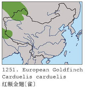 红额金翅[雀]的地理分布图