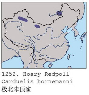 极北朱顶雀的地理分布图