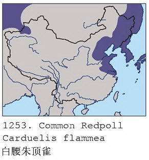 白腰朱顶雀的地理分布图