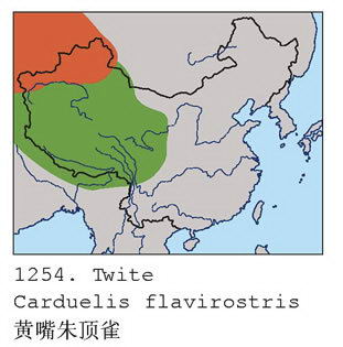 黄嘴朱顶雀的地理分布图