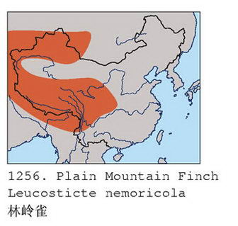 林岭雀的地理分布图