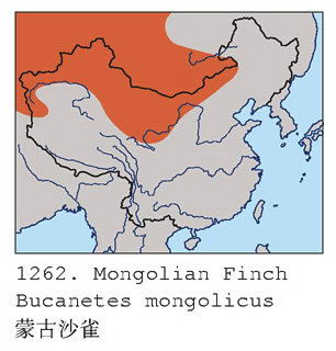 蒙古沙雀的地理分布图