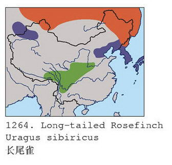 长尾雀的地理分布图