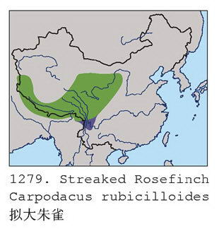 拟大朱雀的地理分布图