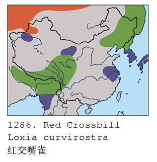 红交嘴雀的地理分布图