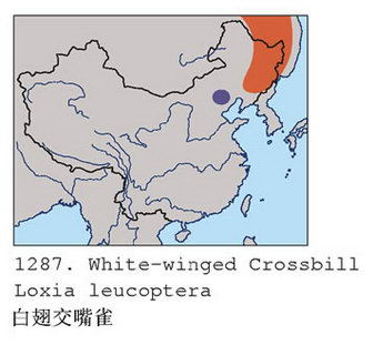 白翅交嘴雀的地理分布图