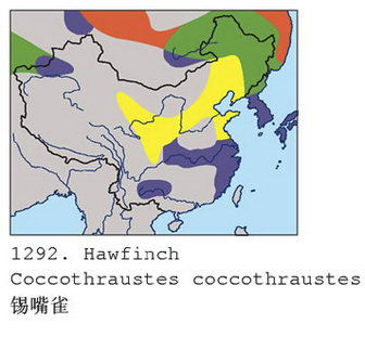 锡嘴雀的地理分布图