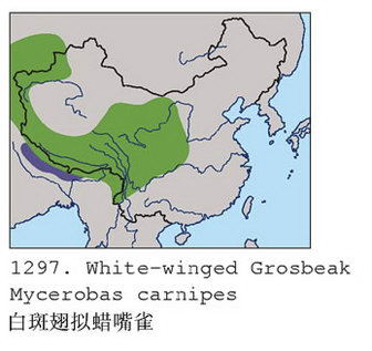 白斑翅拟蜡嘴雀的地理分布图