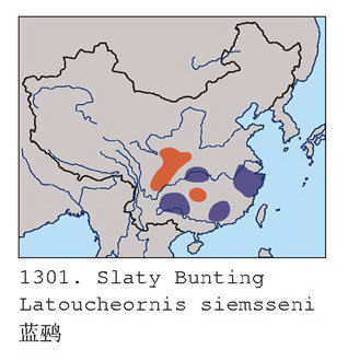 蓝鹀的地理分布图