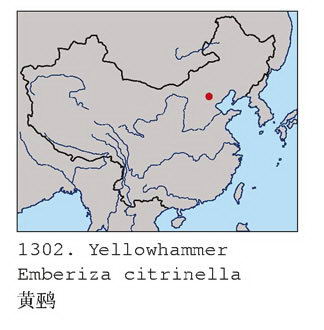 黄鹀的地理分布图