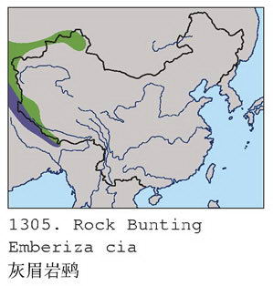 灰眉岩鹀的地理分布图