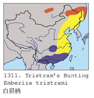 白眉鹀的地理分布图