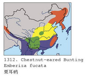 栗耳鹀的地理分布图