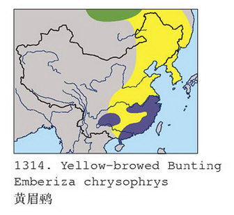 黄眉鹀的地理分布图