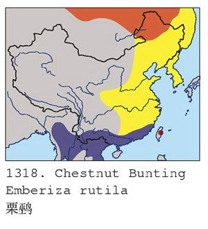 栗鹀的地理分布图