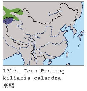 黍鹀的地理分布图